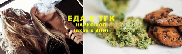 индика Заводоуковск
