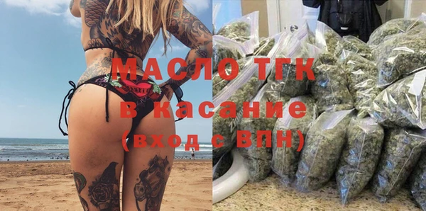 индика Заводоуковск