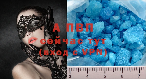 индика Заводоуковск