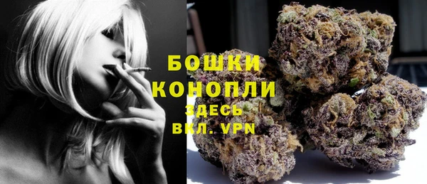 индика Заводоуковск