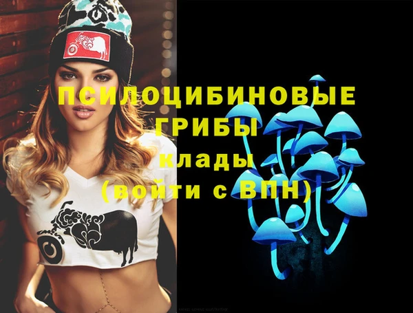 гашик Зеленокумск