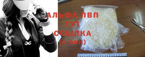 гашик Зеленокумск