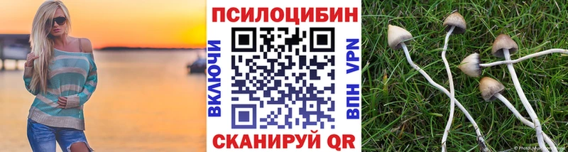 Псилоцибиновые грибы мицелий  Кадников 